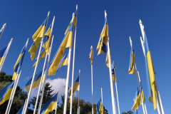 19a_Riga_IMG_20240921_151514